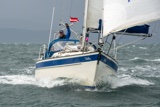 halley 2932c whyw25 fri 800_7538